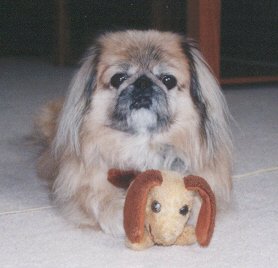 Tonka
