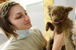 Dog anxiety - visiting the vet