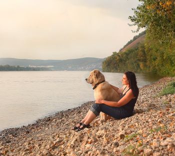 Pet-friendly accommodation in Huntsville, Ontario